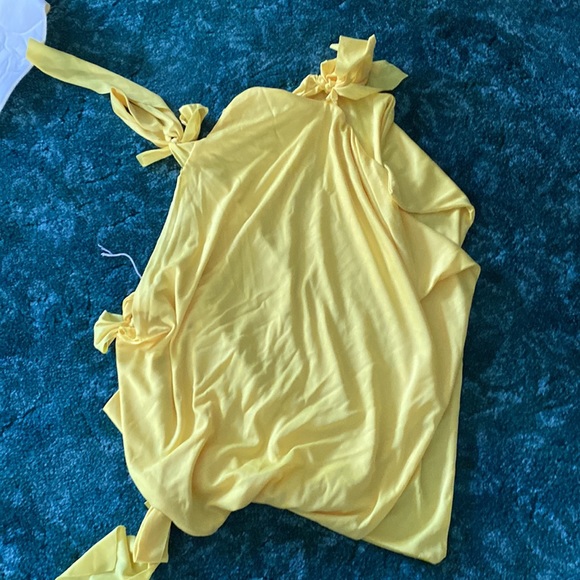 COPY - Yellow Angry Bird Halloween Costume - Picture 5 of 5